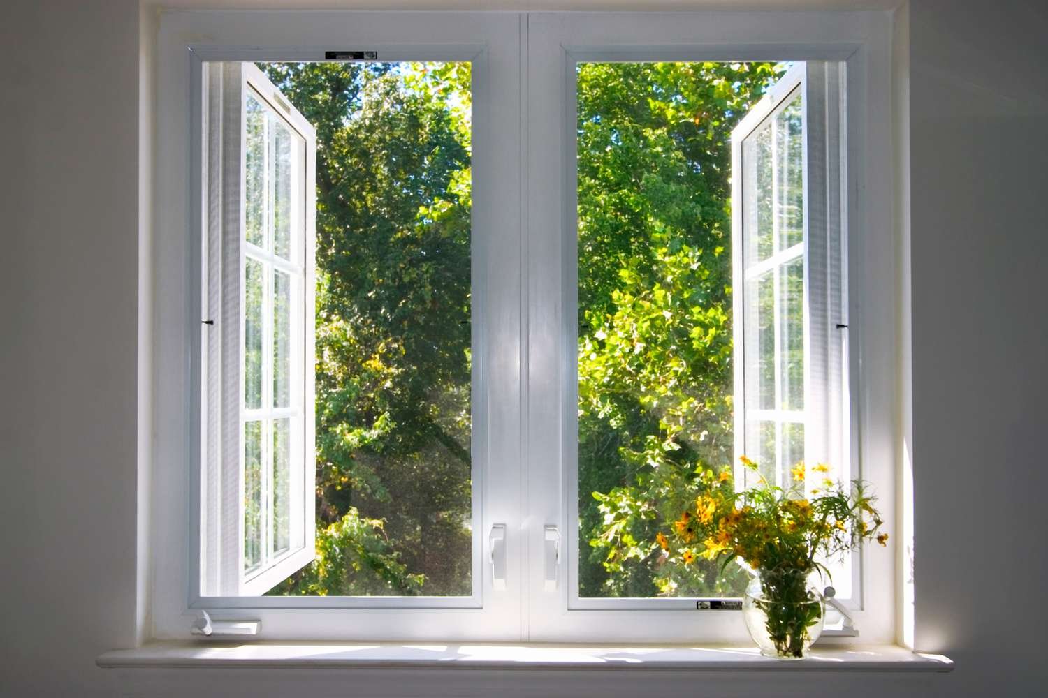 Clean windows open on a nice sunny day.